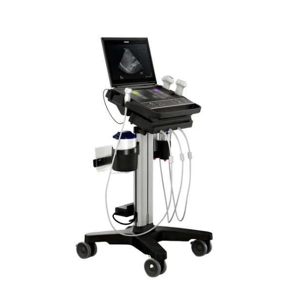 Buy Fujifilm SonoSite ZX Ultrasound Machine at Best Price | EquipMedy